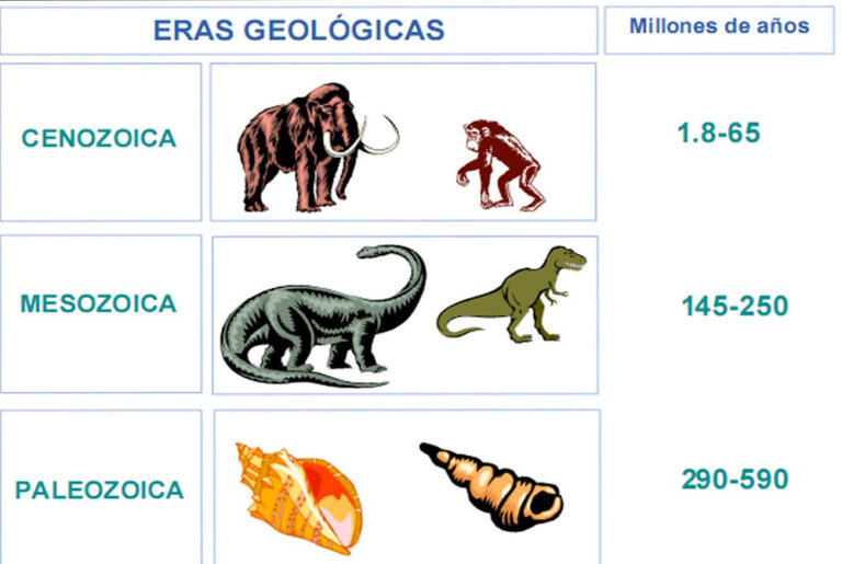 Evoluci N De La Tierra En Eras Geol Gicas Historia Natural